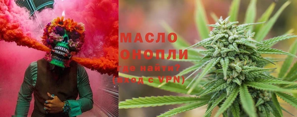 дживик Пестово