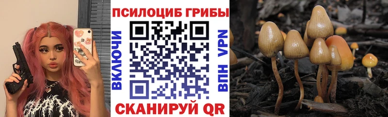 Галлюциногенные грибы прущие грибы  Ипатово 